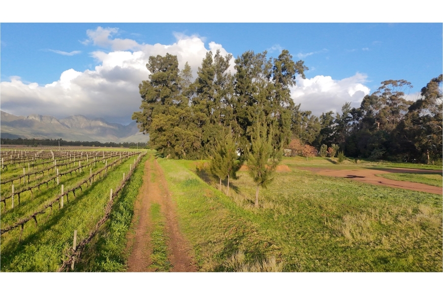 0 Bedroom Property for Sale in Klein Nederburg Western Cape